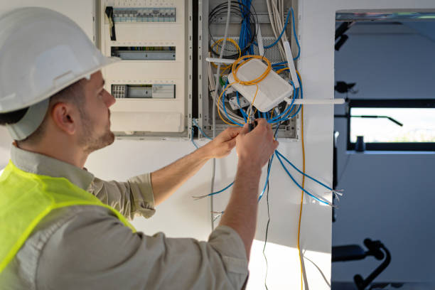 Best Electric Panel Repair  in Afton, WY